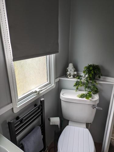 een badkamer met een toilet met een plant erop bij Blues Hideaway Todber Valley in Gisburn