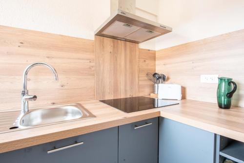 - une cuisine avec un évier en acier inoxydable et des comptoirs en bois dans l'établissement Centre - Le Phoenix - Cathédrale, à Strasbourg