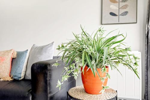 a pot of plants on a table next to a couch at Gorgeous Mile End Flat in London