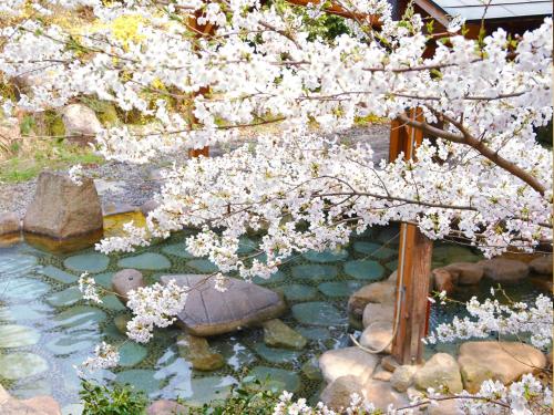 a tree with white flowers over a pond at Choseikan in Agano