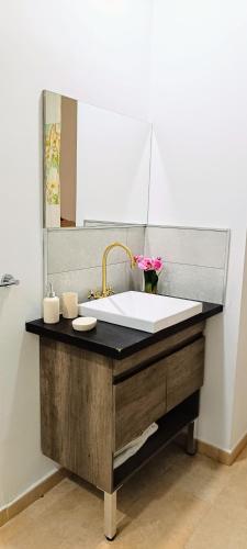 a bathroom with a sink and a mirror at casita del perfume 2 in Santa Fe
