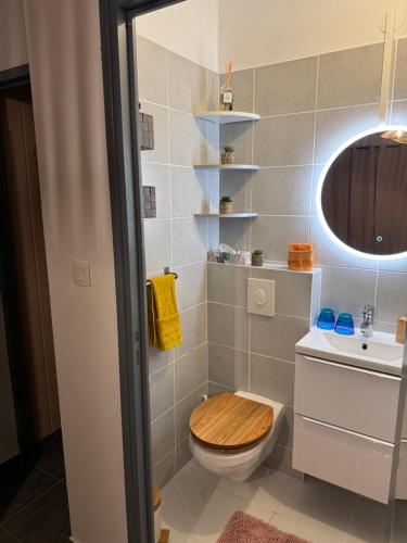コルマールにあるGîte & Spa CASANOUのバスルーム(トイレ、洗面台付)