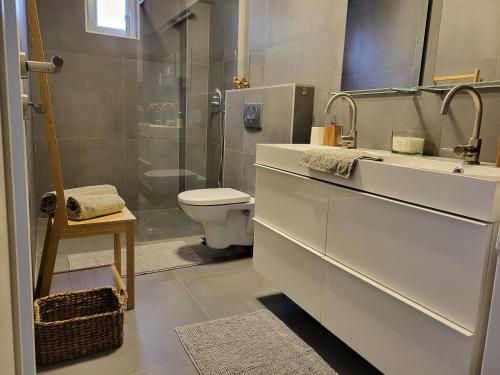 e bagno con servizi igienici, lavandino e doccia. di Nori&Alex Balaton Apartment a Vonyarcvashegy
