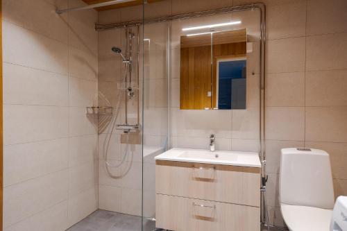 a bathroom with a shower and a sink and a toilet at Levilehto Apartments in Levi