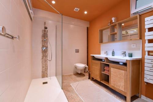 a bathroom with a shower and a sink and a toilet at Gite spacieux et chaleureux 8p, route des vins in Bergheim