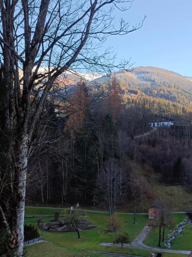 a view of a park with a mountain in the background at Haus Moser in Wagrain