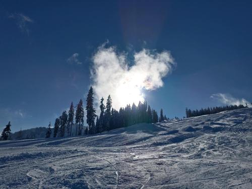 a snow covered slope with the sun in the sky at Haus Moser in Wagrain