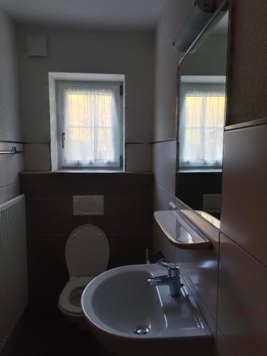 a bathroom with a sink and a toilet and a mirror at Haus Moser in Wagrain
