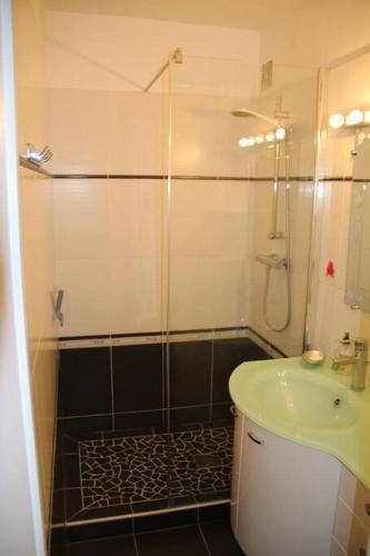 une salle de bain avec douche et lavabo dans l'établissement Studio 34, Héliopolis E au village naturiste, au Cap d'Agde