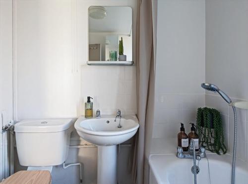 a bathroom with a sink and a toilet and a shower at Riverside apartment in Islington in London