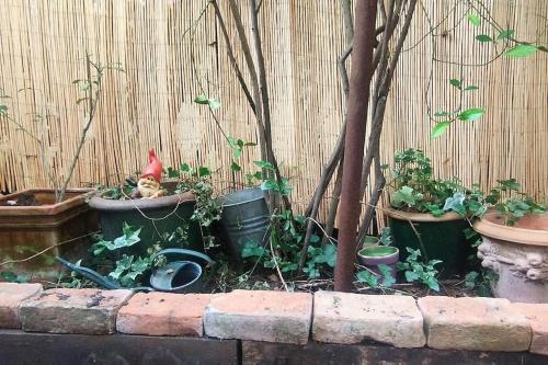 un chat portant un chapeau de santa assis dans un jardin dans l'établissement Appartement de charme avec jardin, à Puteaux