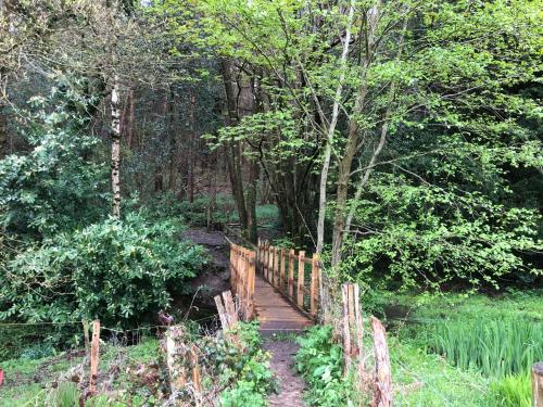 a wooden bridge in the middle of a forest at The Nest Danehill in Haywards Heath