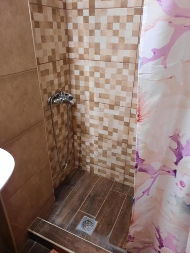 a shower in a bathroom with a tiled wall at CHRISTOS Apartments in Paralia Panteleimonos