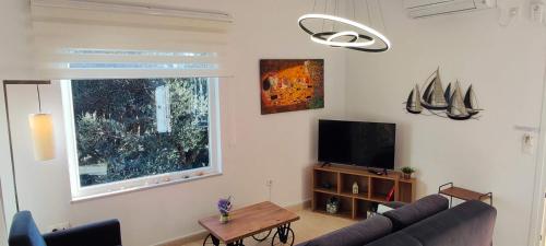a living room with a couch and a tv at Villa Amaryllis in Paleokastritsa
