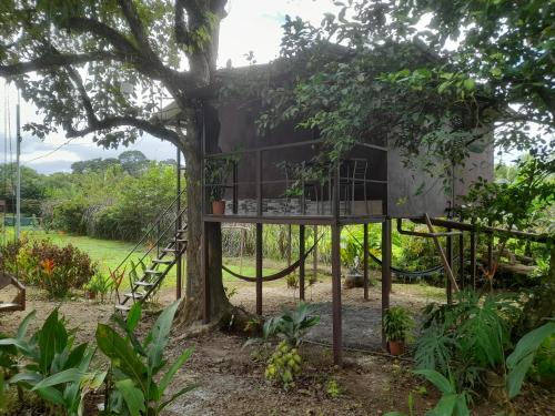Chava Camping Rio Celeste – Photos 5