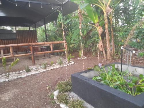 Chava Camping Rio Celeste – Photos 3