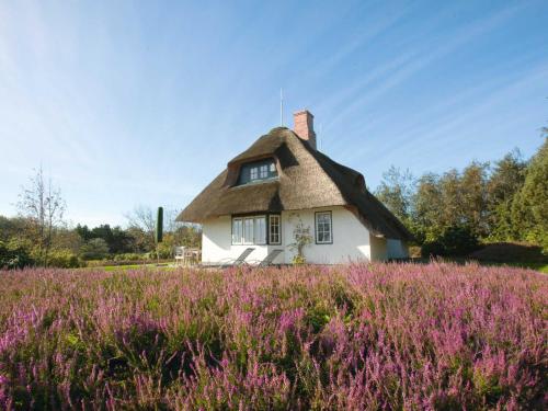 a thatched cottage with a field of purple flowers at Großer Wal von Appartements & Mehr in Munkmarsch