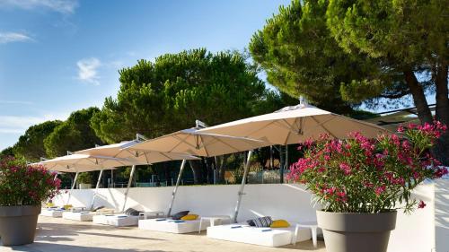 a row of umbrellas with chairs and flowers at Park Plaza Belvedere Medulin in Medulin