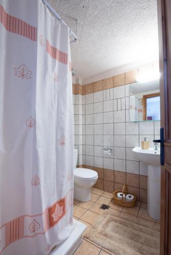 a bathroom with a toilet and a shower curtain at Nelfi's apartments I - Αράχωβα in Arachova