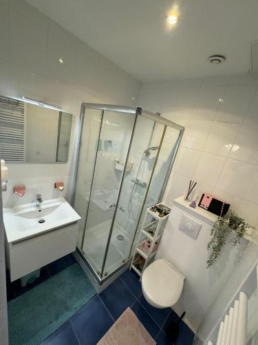 a bathroom with a shower and a sink and a toilet at Appartement spacieux, très bien situé, proche du centre, calme avec parking gratuit dans la rue! in Strasbourg