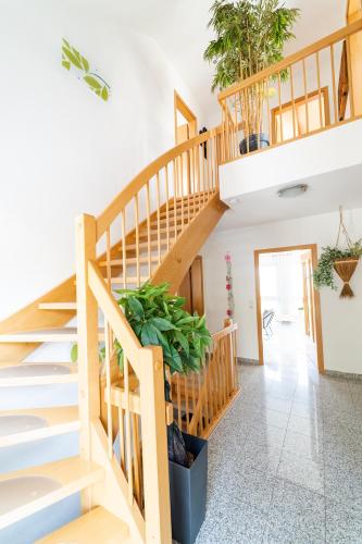 a staircase in a house with potted plants at Einzigartiger Panoramablick zur Schwäbische Alb in Altenriet