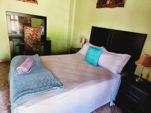 a bedroom with a large bed with pillows on it at Intsingizi bird lodge in Pretoria