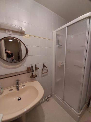 une salle de bain avec un lavabo et une douche avec un miroir dans l'établissement Appartement T2 eaux-bonnes, à Eaux-Bonnes