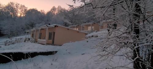 a house covered in snow in the snow at Bungalow Casa Corbilor in Stăneşti