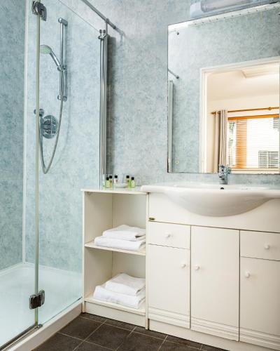 a bathroom with a sink and a shower at The Oystercatcher Lodge in Carlingford