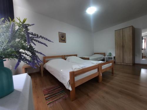 a bedroom with a bed and a plant in it at Apartmani Sunflower in Sremski Karlovci