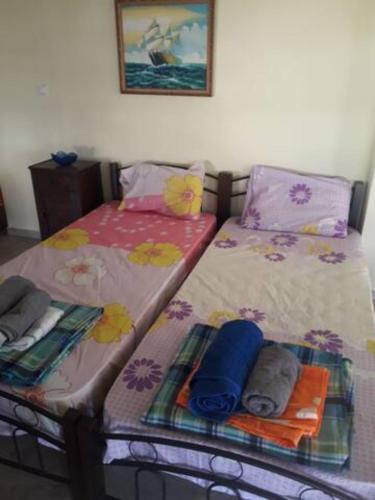 two twin beds sitting next to each other at Hellas Palace ROOMS LOFT in Sparti