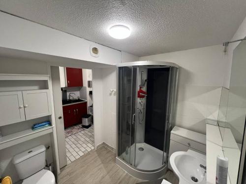 une salle de bain avec une douche, des toilettes et un lavabo dans l'établissement ALHAMBRA Joli studio piscine proche plage Richelieu Cap d'Agde, au Cap d'Agde