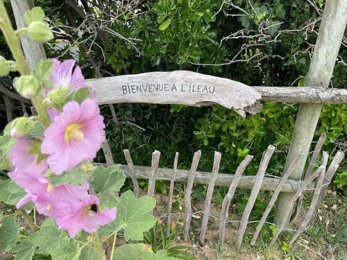 O grădină în afara Maison de vacances : Bord de mer