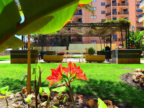 Luminoso apartamento de 3 dormitorios a pie de playa en Torremolinos