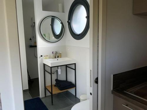 a bathroom with a sink and a mirror on the wall at Studio prkg priv campus techlid interpole in Écully