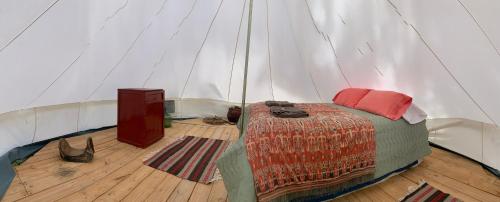 Estancia Santa Thelma – Photos 4