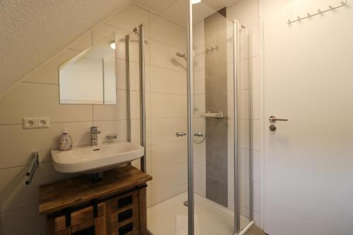 W łazience znajduje się umywalka i prysznic. w obiekcie Tannenhof Fischbach - Fewo 4 "Hecht" - Schluchsee, 4 Schlafzimmer w mieście Schluchsee