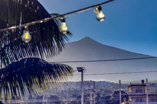 Blick auf einen Berg und eine Palme mit Lichtern in der Unterkunft Garden Paradise House w/ BBQ & Volcano View in Icod de los Vinos