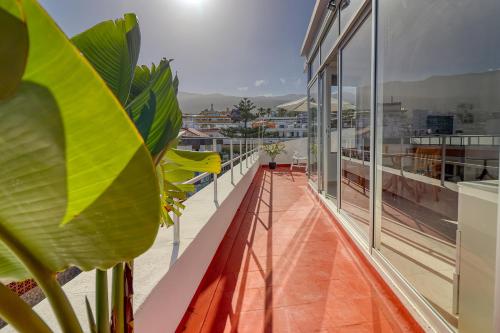 Un balcón o terraza en Spacious Penthouse with King-size bed, Huge terrace, Ocean & Teide view