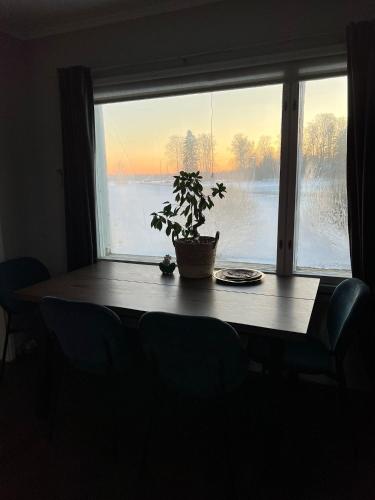 a table with a potted plant in front of a window at Beautiful Big Farm House with Spectacular Meteor Site View in Vaasa