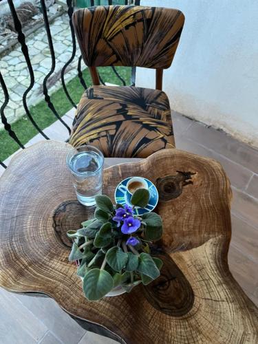 a wooden table with a plant on top of a chair at Къща за гости Куклите Петревене in Petrevene