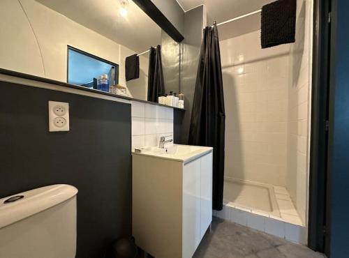 La salle de bains est pourvue de toilettes, d'un lavabo et d'une douche. dans l'établissement Le Vintage- bords de l'Yonne, à Sens