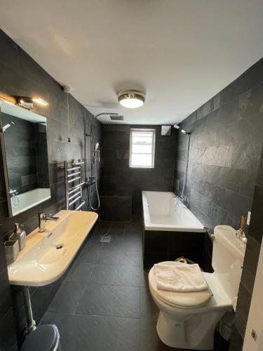 een badkamer met een toilet, een wastafel en een bad bij Ashbrook Halley in Didcot