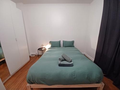 ein Schlafzimmer mit einem grünen Bett und Handtüchern darauf in der Unterkunft Fanfrelin joli T3 centre ville in Angoulême