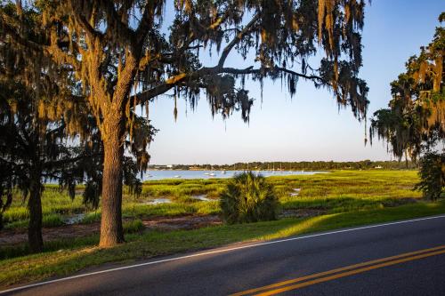 a road with a tree and a lake at Cuthbert House in Beaufort