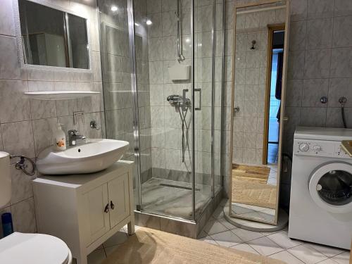 uma casa de banho com um chuveiro, um lavatório e uma máquina de lavar roupa em Monro Apartment em Hévíz