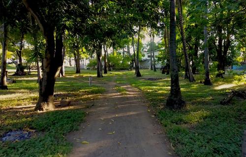 Gallery image of Sugarloaf Beach House & Surf Lodge in El Cuco