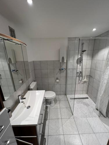 een badkamer met douche, wastafel en toilet bij City Apartment Baden-Baden in Baden-Baden