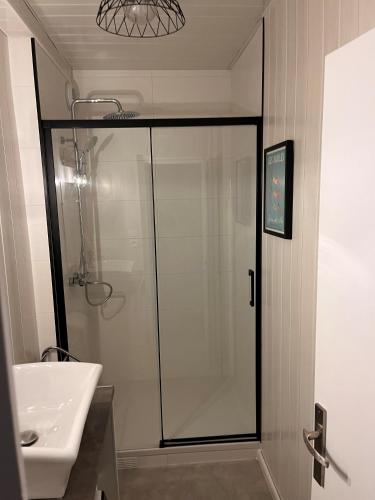 une salle de bain avec douche et lavabo dans l'établissement Les Sables d'Olonne, Les Présidents, charmant appartement lumineux, plage 150 m., à La Rudelière