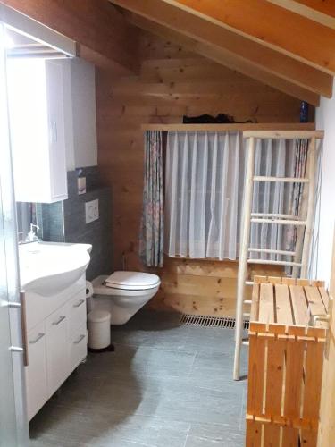 a bathroom with a toilet and a sink in a log cabin at Beat & Ursula's Guest House in Jenaz